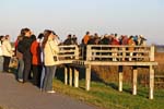 Kranichbeobachtung_Zingst_2